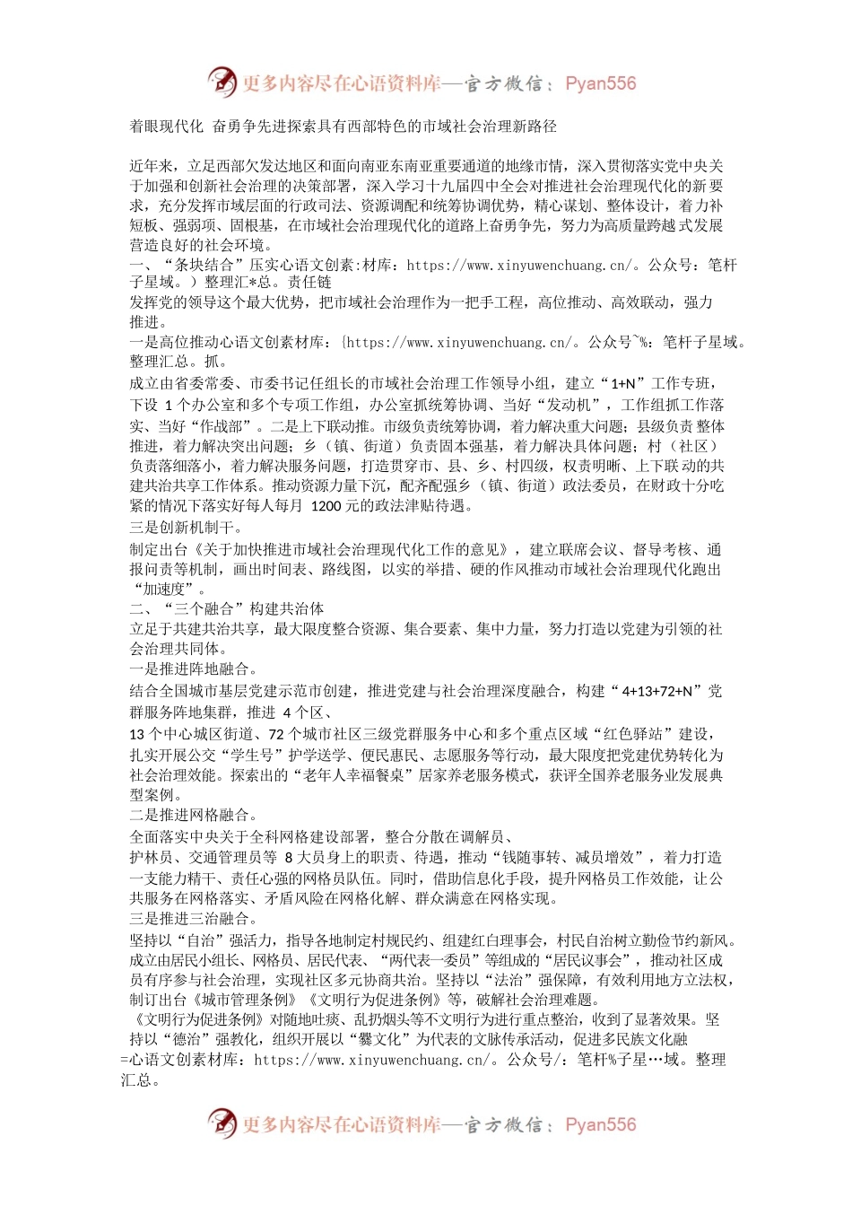 着眼现代化 奋勇争先进探索具有西部特色的市域社会治理新路径.docx_第1页