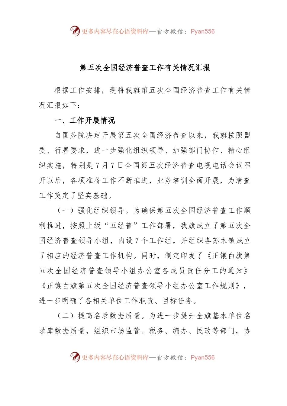 第五次全国经济普查工作有关情况汇报.docx_第1页