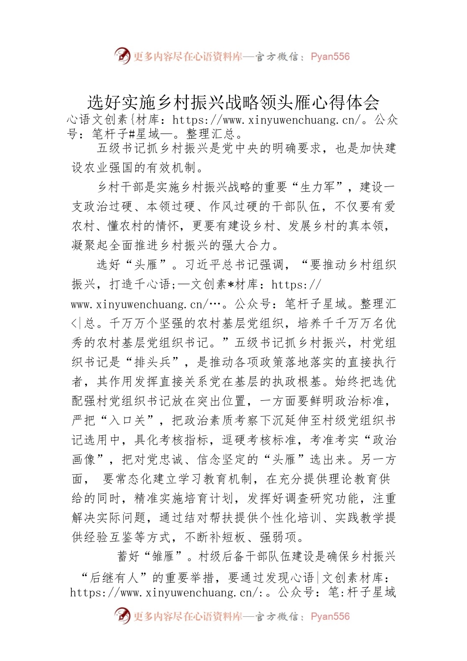 选好实施乡村振兴战略领头雁心得体会.docx_第1页
