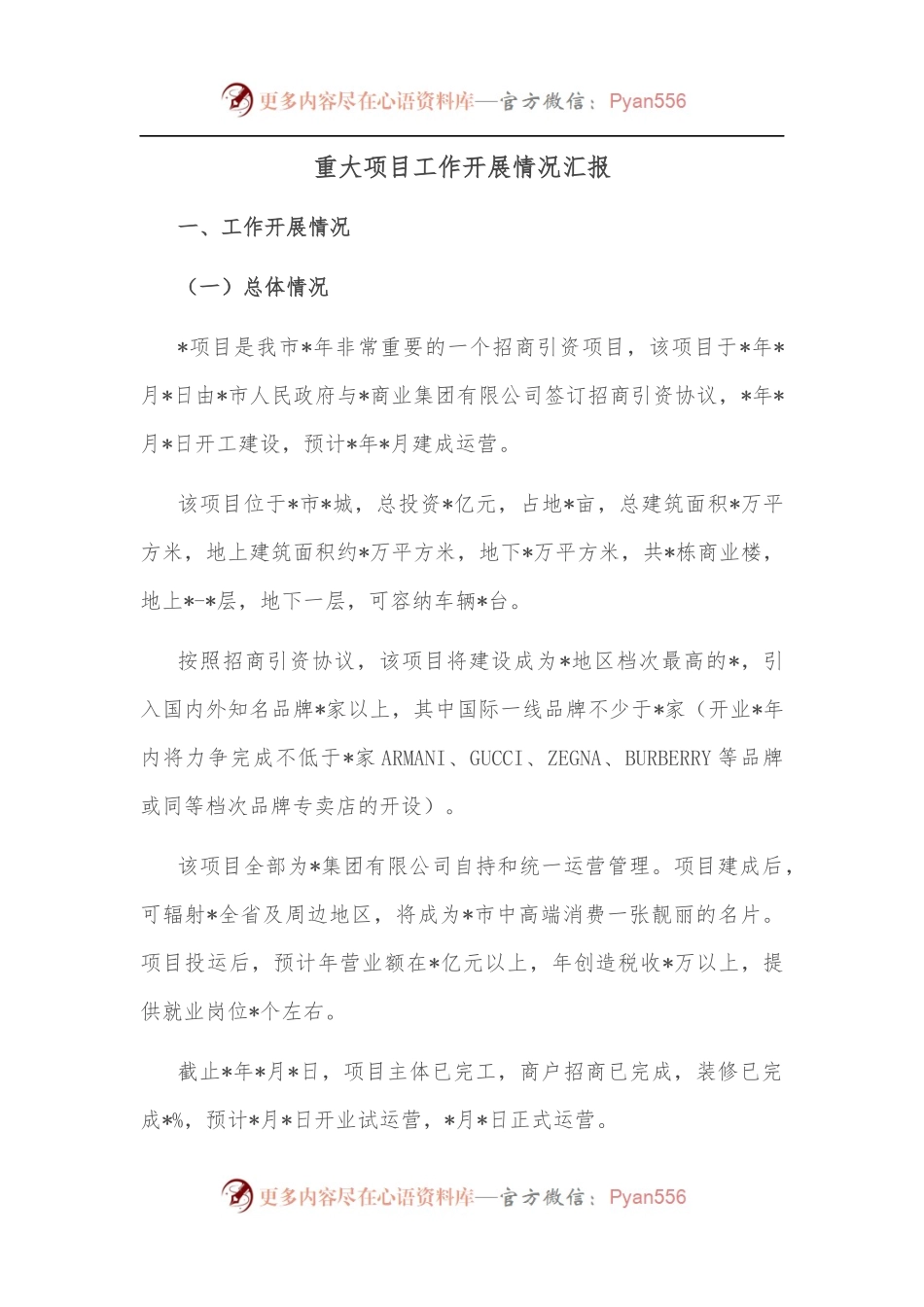 重大项目工作开展情况汇报.docx_第1页