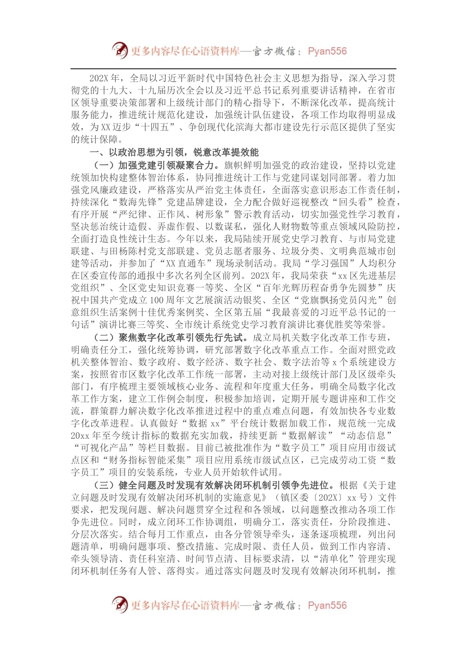 统计局202X年工作总结.docx_第1页