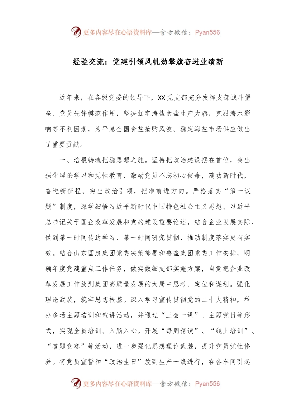 经验交流：党建引领风帆劲 擎旗奋进业绩新.docx_第1页