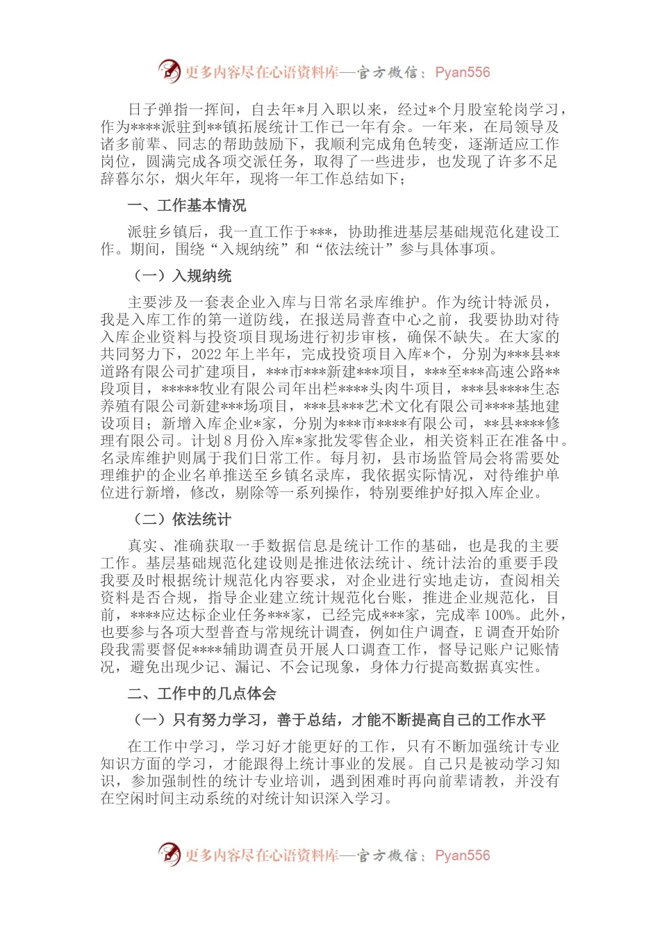 统计系统新进工作人员个人总结.docx_第1页
