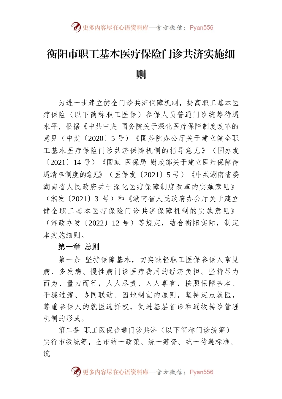 衡阳市职工基本医疗保险门诊共济实施细则.docx_第1页