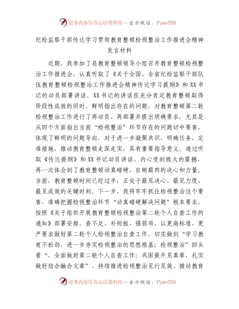 纪检监察干部传达学习贯彻教育整顿检视整治工作推进会精神发言.docx_第1页