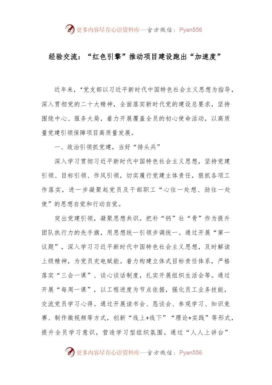 经验交流：“红色引擎”推动项目建设跑出“加速度”.docx_第1页