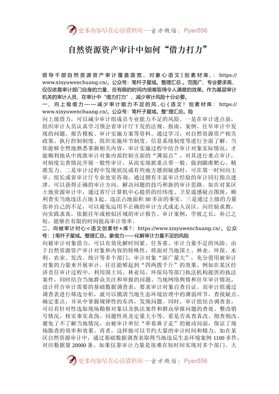 自然资源资产审计中如何“借力打力”.docx_第1页
