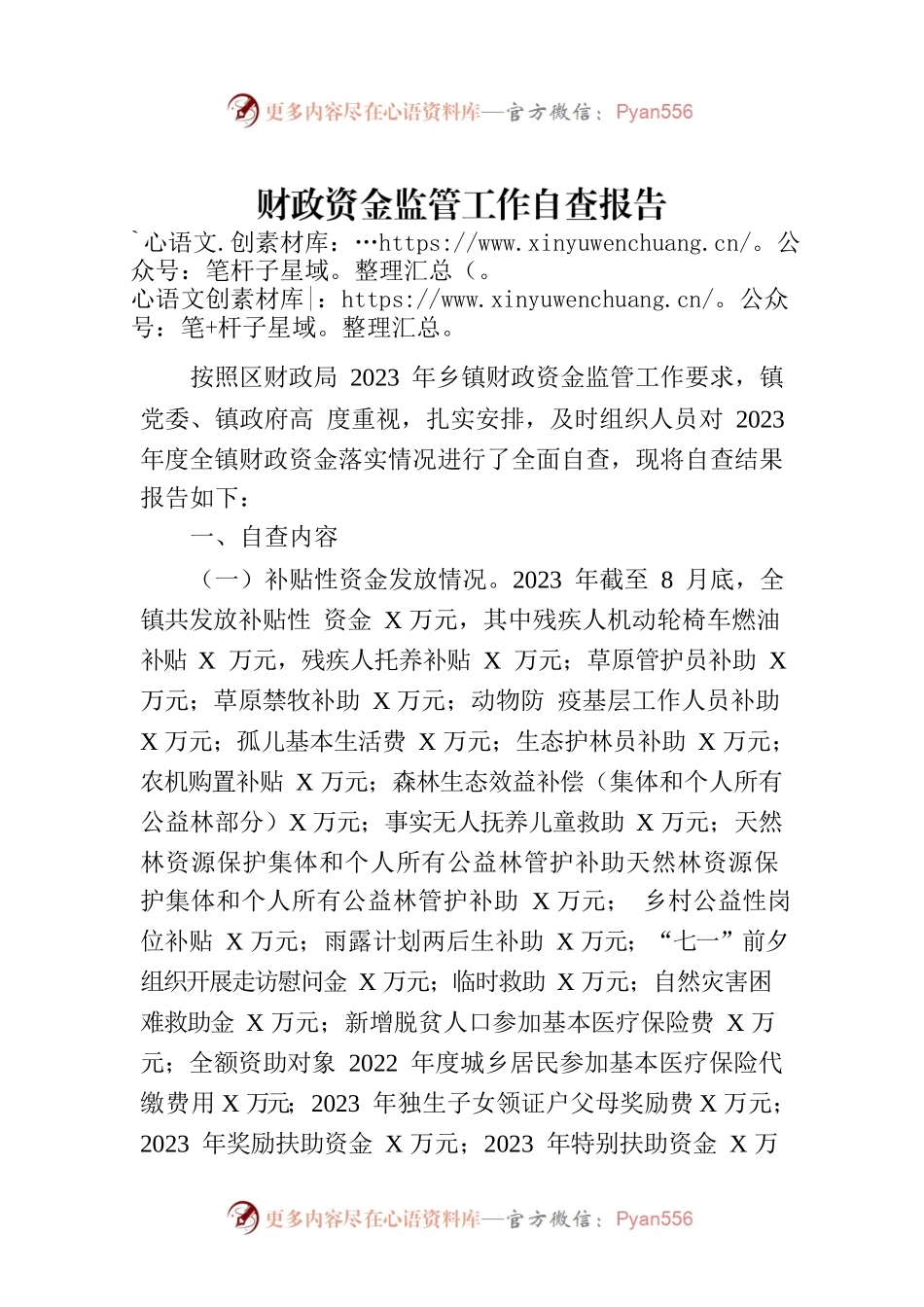 财政资金监管工作自查报告.docx_第1页