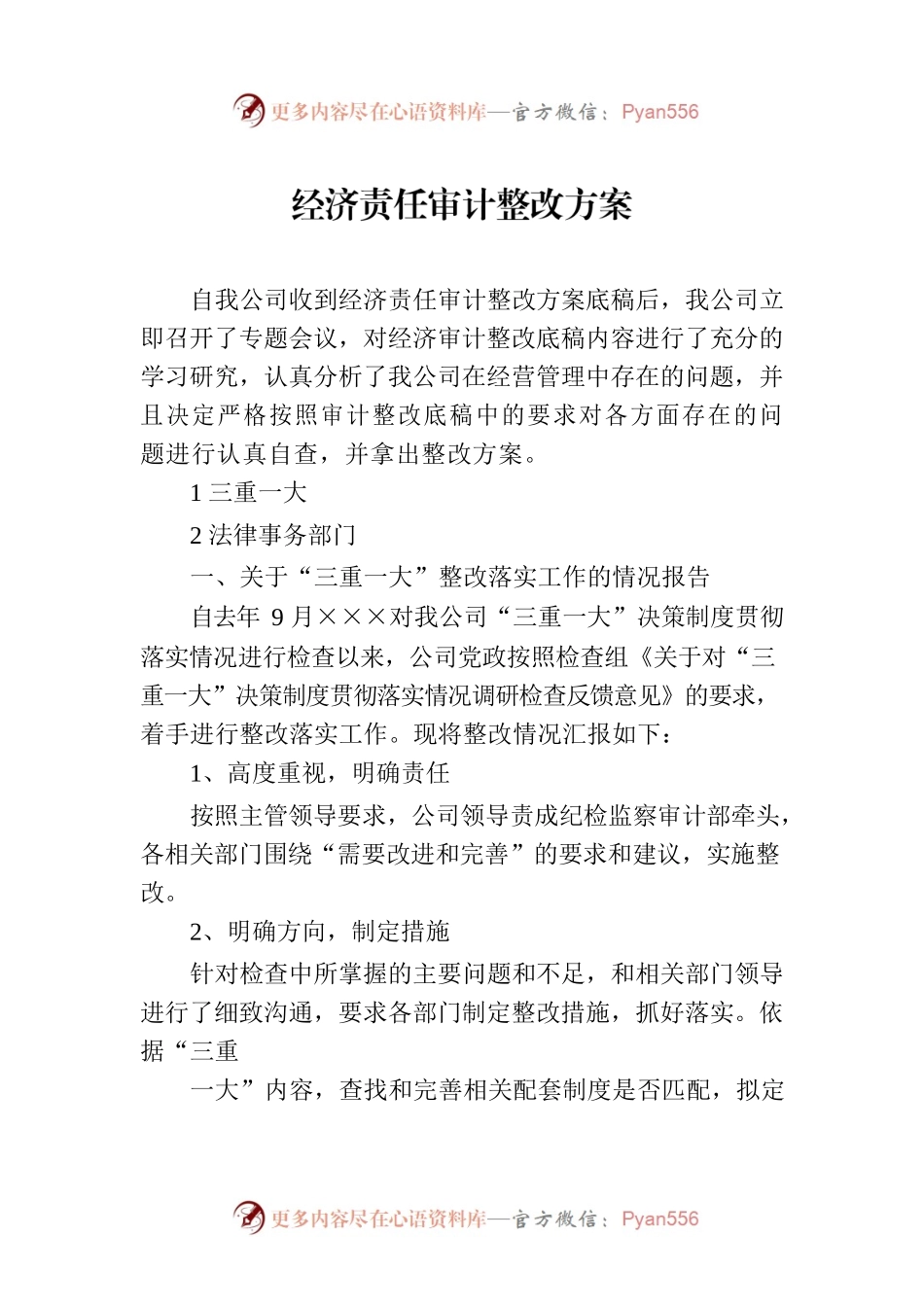 经济责任审计整改方案.docx_第1页