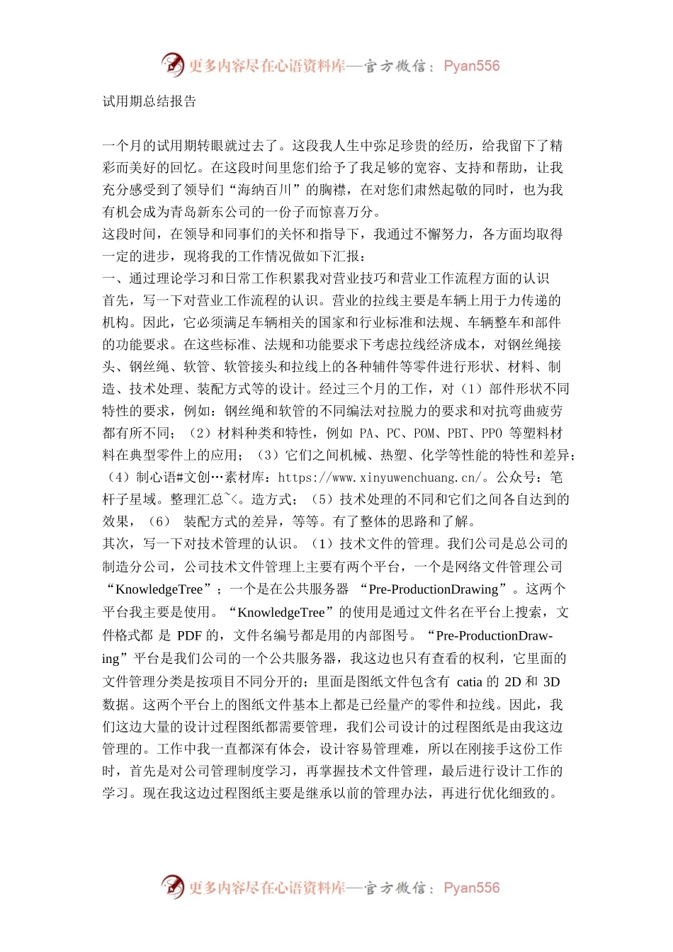 试用期总结报告.docx_第1页