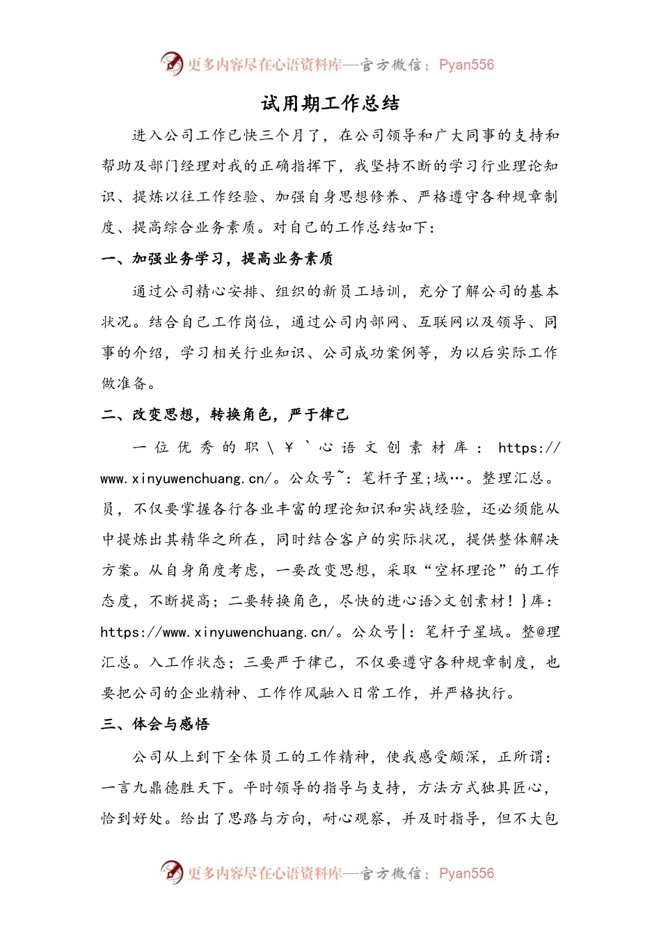 试用期工作总结.docx_第1页