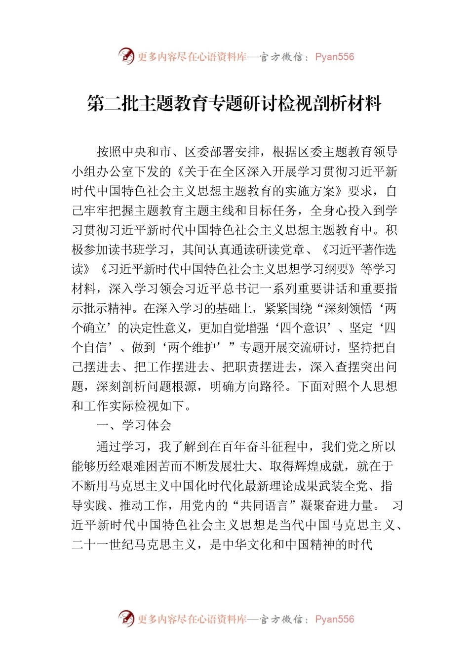 第二批主题教育专题研讨检视剖析材料.docx_第1页