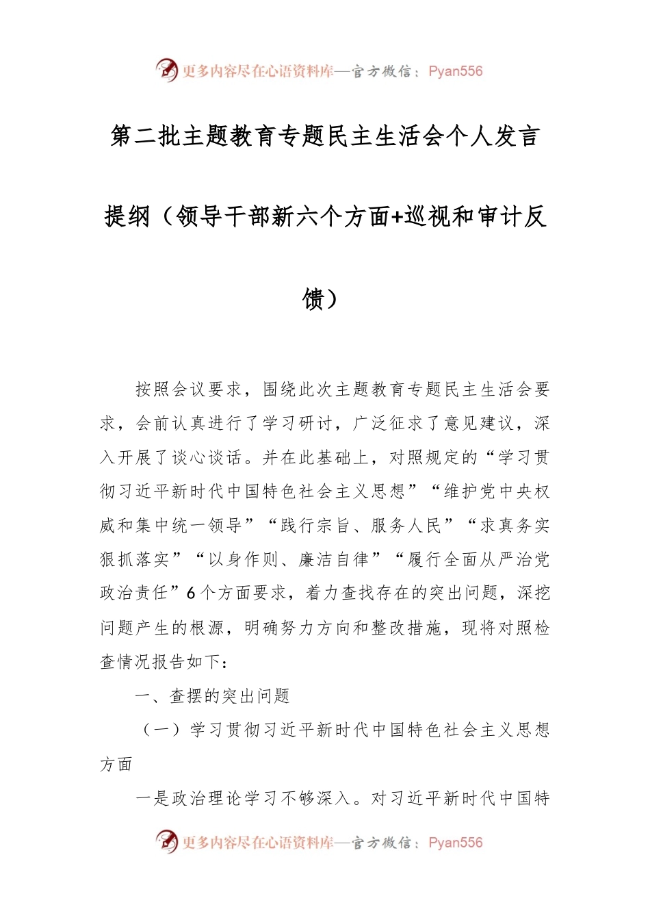 第二批主题教育专题民主生活会个人发言稿提纲（领导干部新六个方面+巡视和审计反馈）.docx_第1页