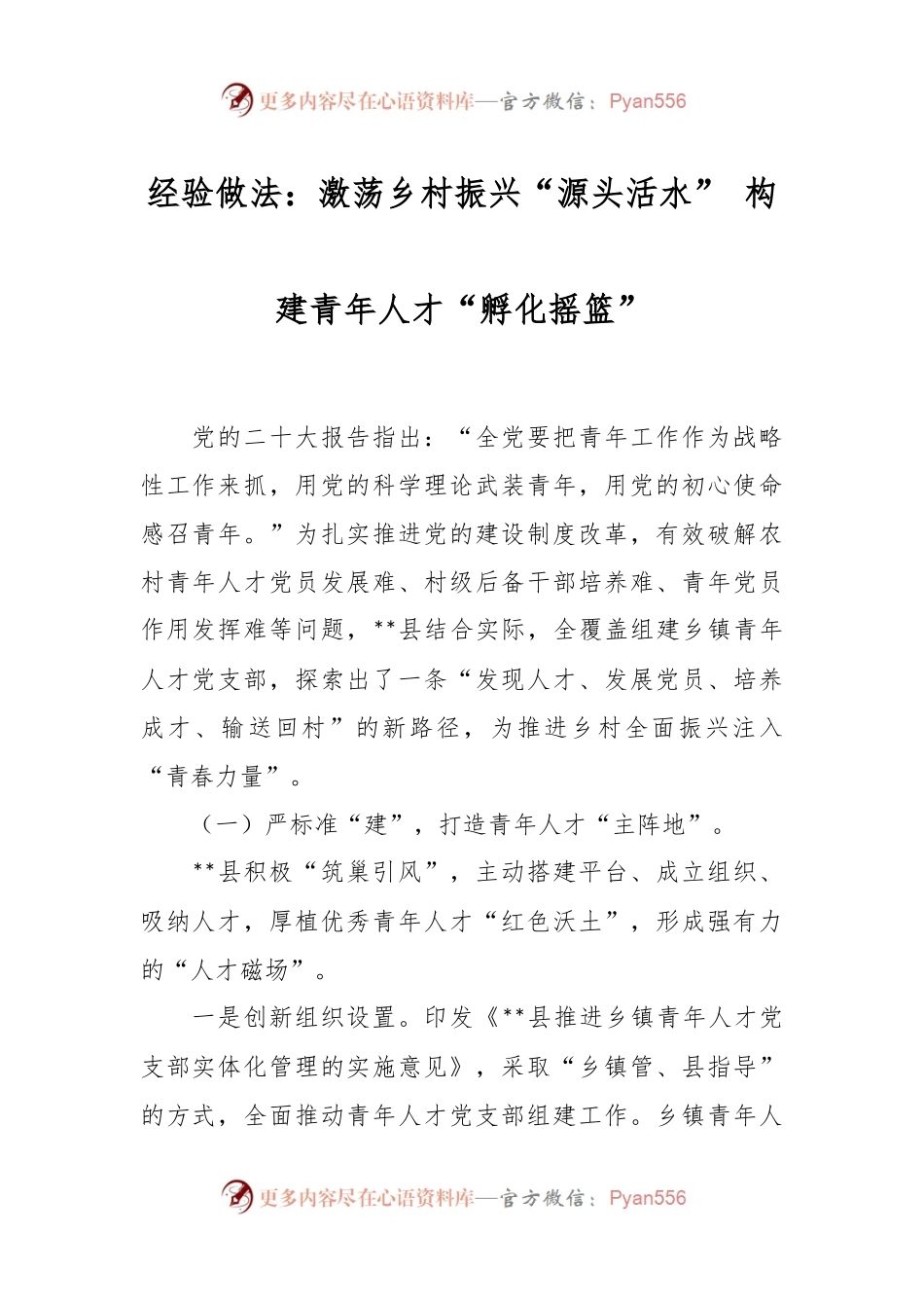 经验交流：激荡乡村振兴“源头活水” 构建青年人才“孵化摇篮”.docx_第1页