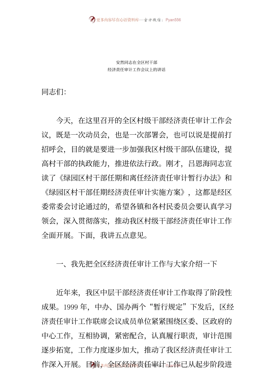 经济责任审计工作会议上的讲话.docx_第1页