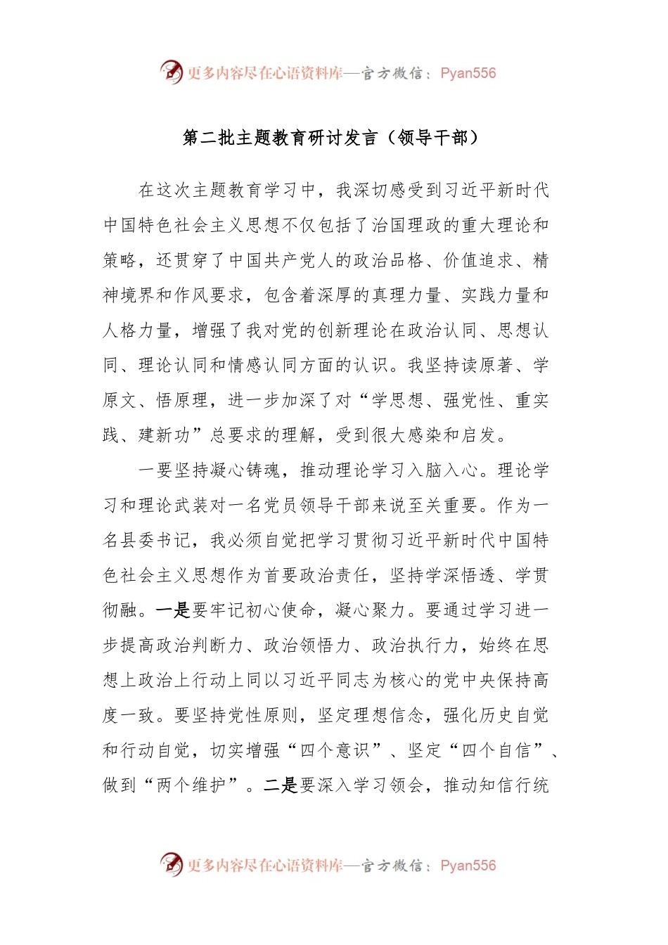 第二批主题教育研讨发言（领导干部）.docx_第1页