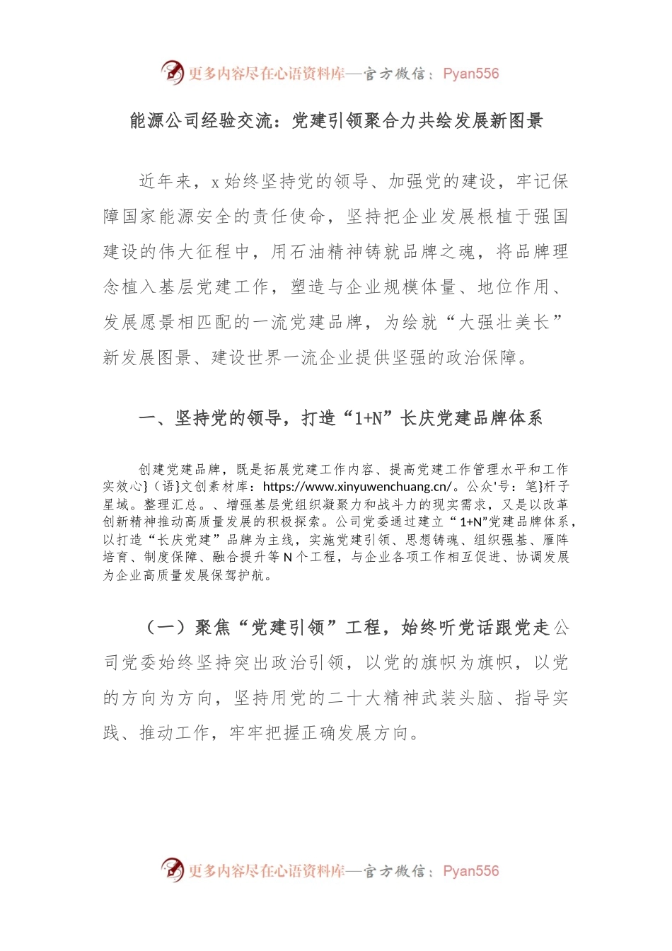 能源公司经验交流：党建引领聚合力共绘发展新图景.docx_第1页