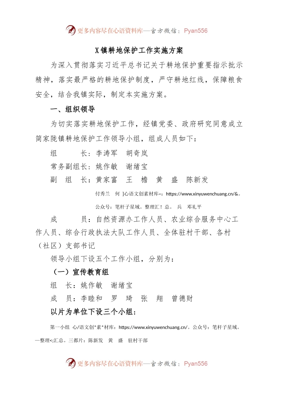 耕地保护工作实施方案.docx_第1页