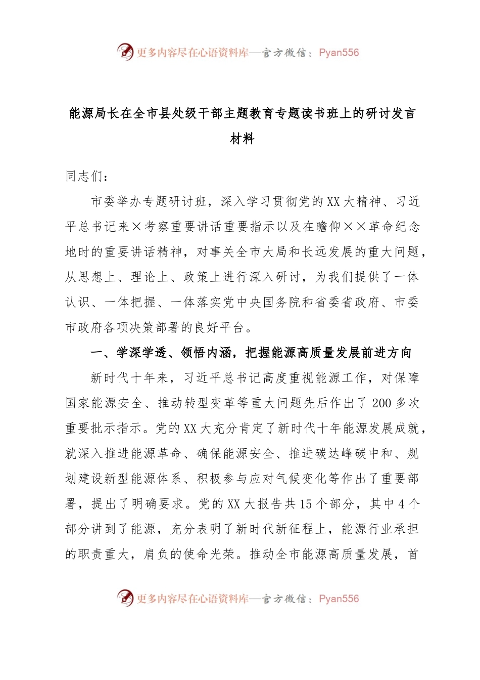 能源局长在全市县处级干部主题教育专题读书班上的研讨发言材料.docx_第1页
