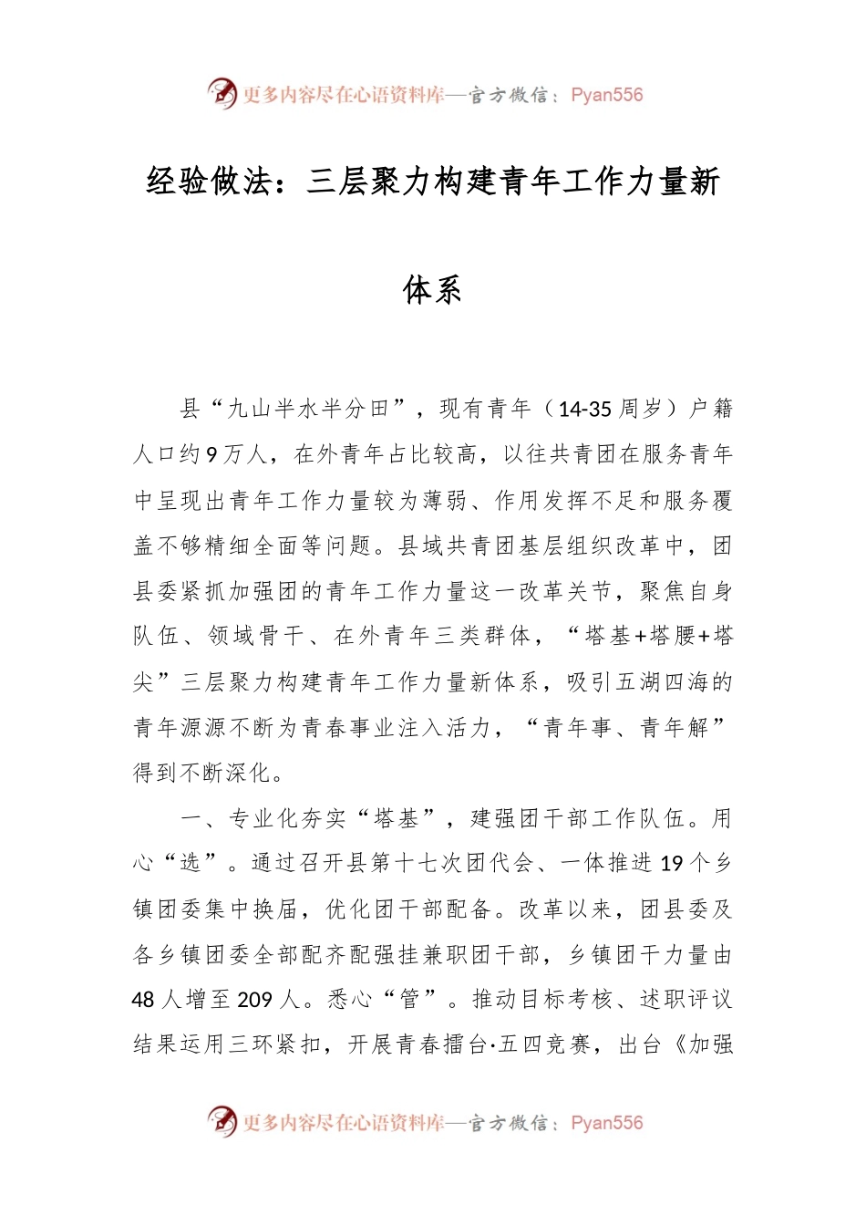 经验做法：三层聚力构建青年工作力量新体系.docx_第1页