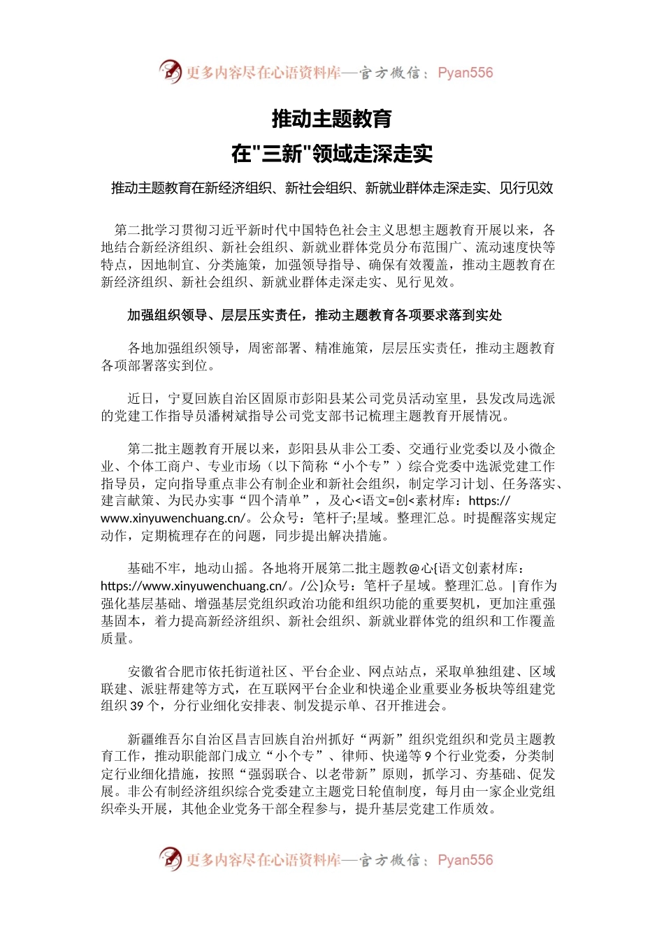 红色简洁三新领域主题教育经验做法PPT党课(讲稿).docx_第1页