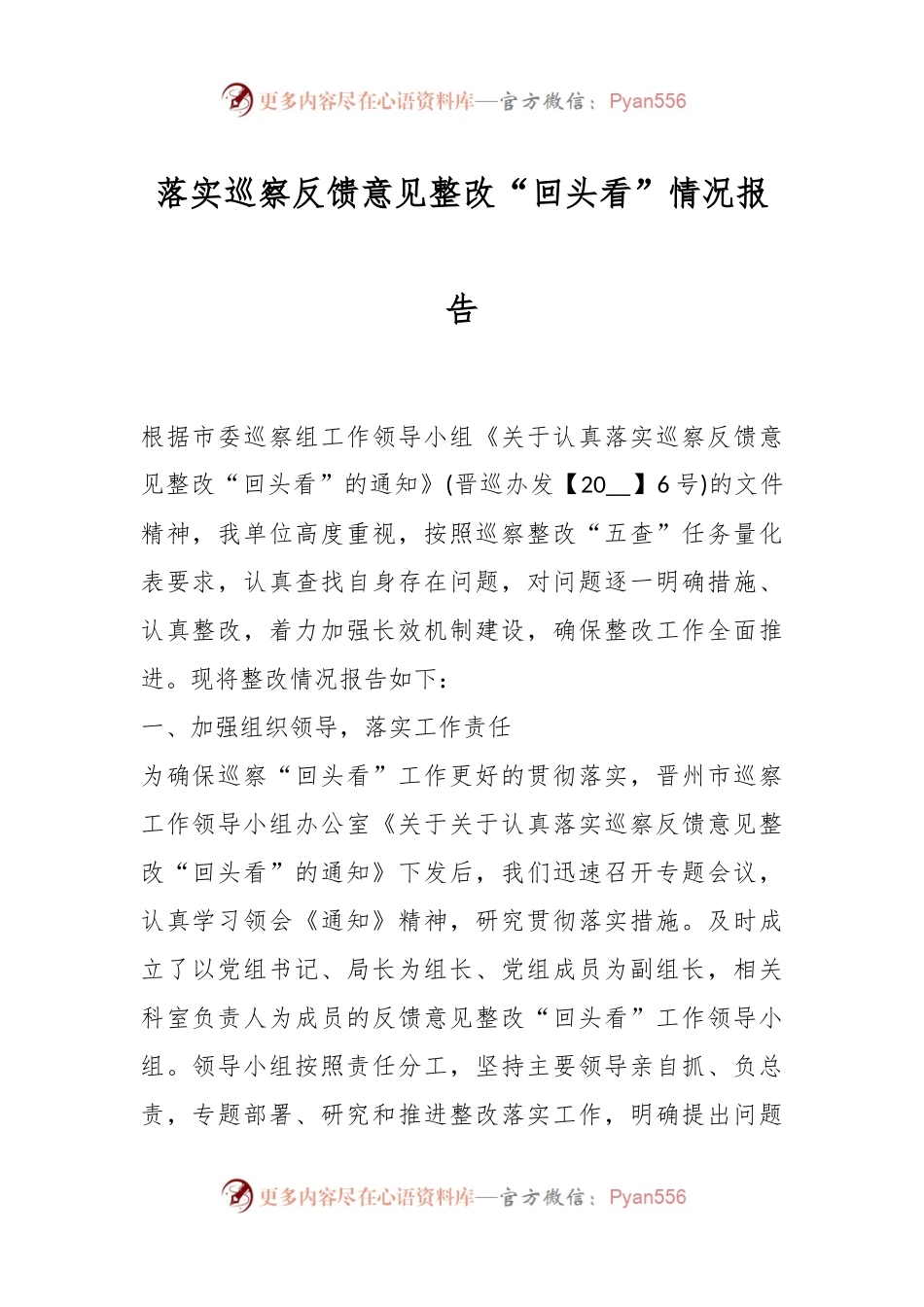 落实巡察反馈意见整改“回头看”情况报告.docx_第1页