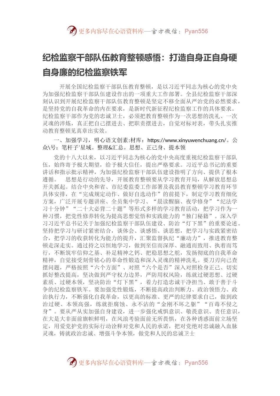 纪检监察干部队伍教育整顿感悟：打造自身正自身硬自身廉的纪检监察铁军.docx_第1页