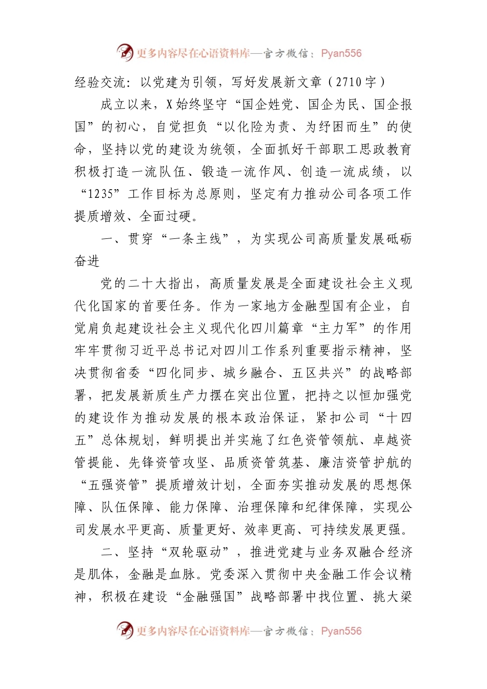 经验交流：以党建为引领，写好发展新文章（2710字）.docx_第1页