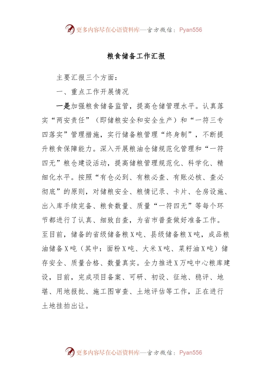 粮食储备工作汇报.docx_第1页