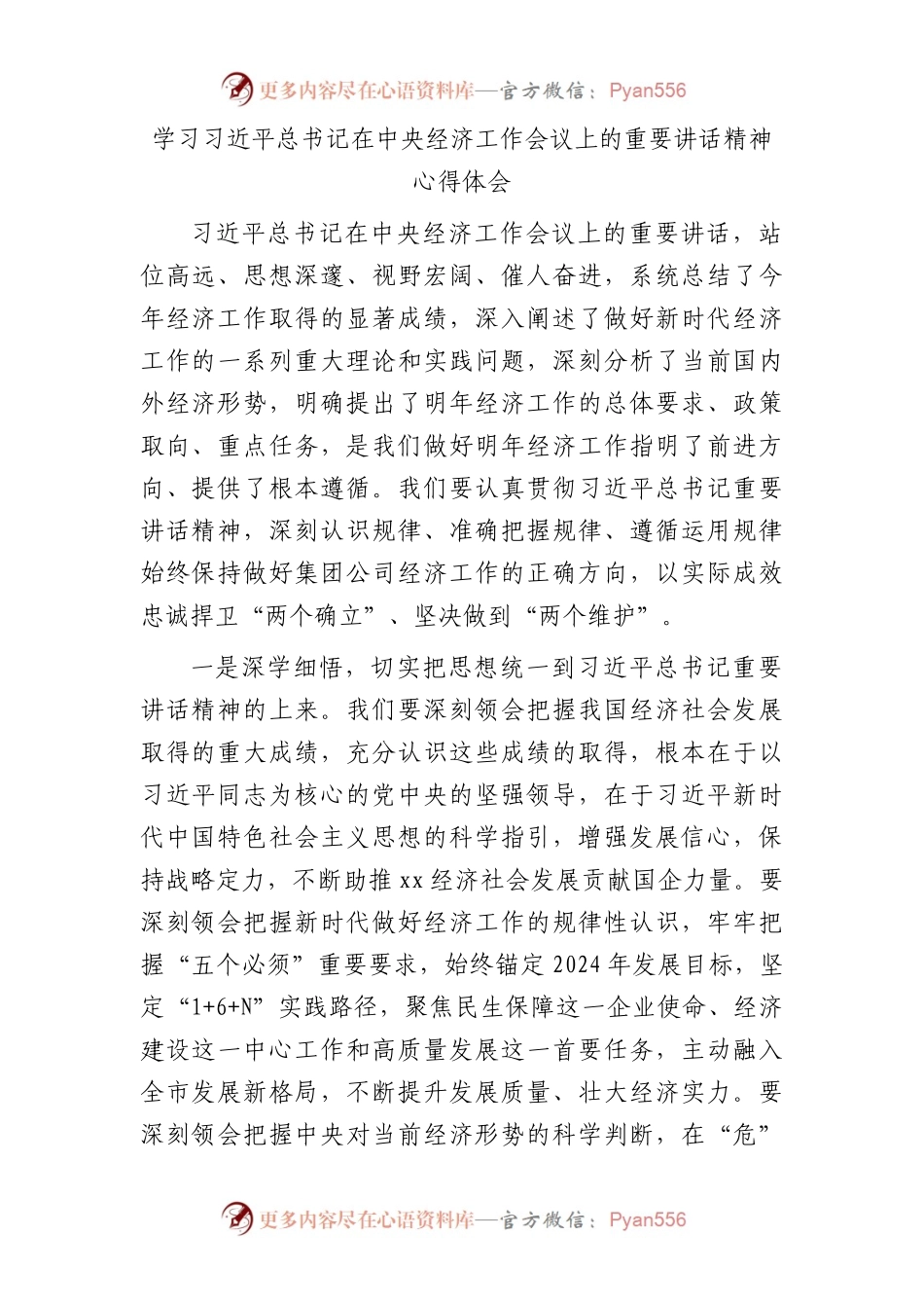 经济工作会议上的重要讲话精神心得体会发言.docx_第1页
