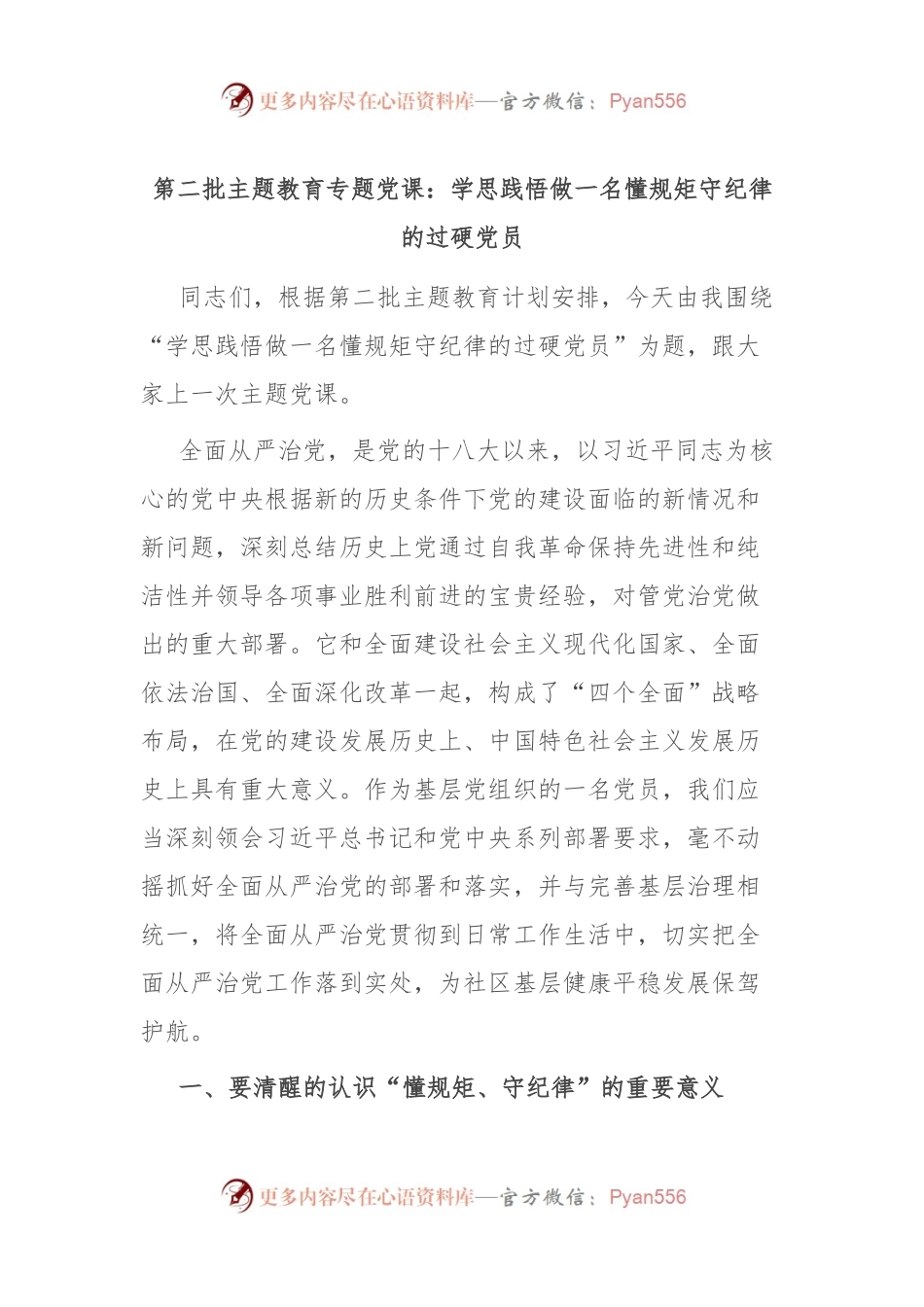 第二批主题教育专题党课：学思践悟 做一名懂规矩 守纪律的过硬党员.docx_第1页