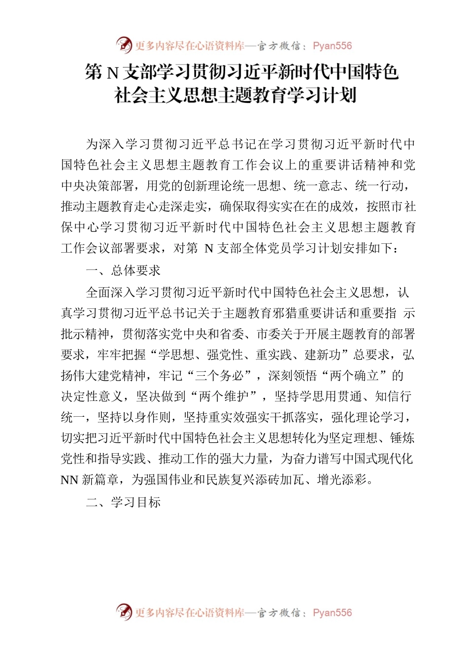 第N党支部学习贯彻习近平新时代中国特色社会主义思想主题教育学习计划.docx_第1页