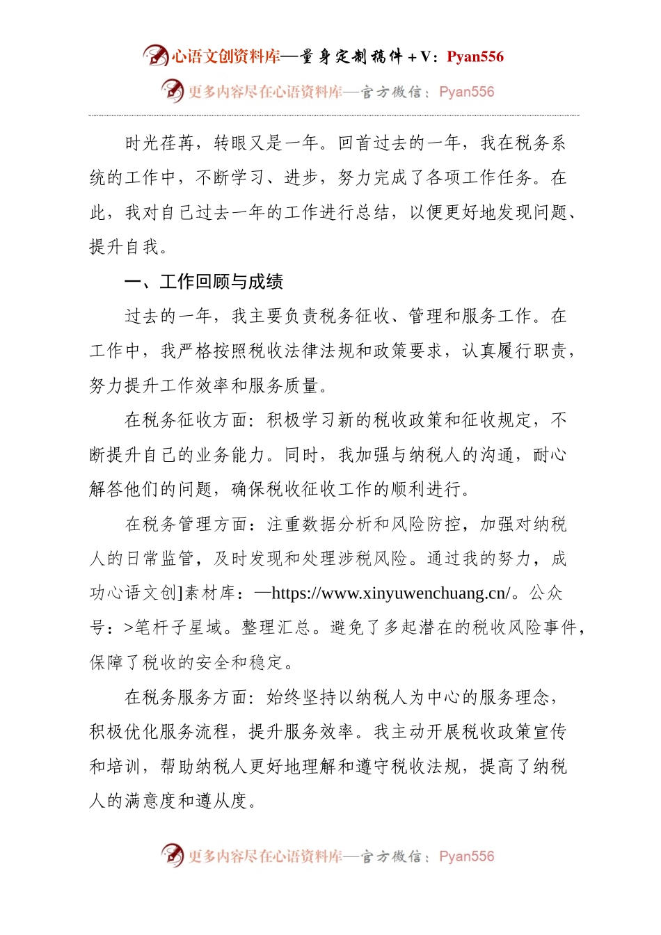 税务青年年度工作总结.docx_第1页