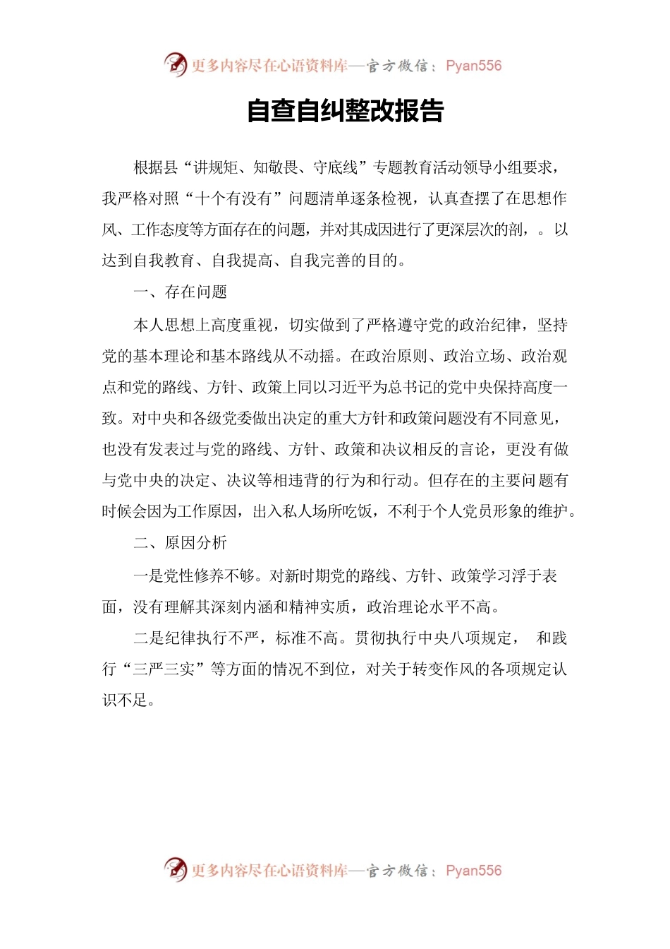 自查自纠整改报告2.docx_第1页
