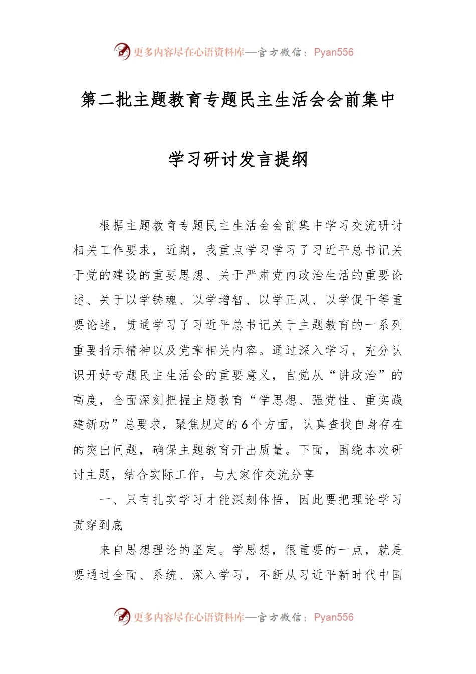 第二批主题教育专题民主生活会会前集中学习研讨发言稿提纲.docx_第1页