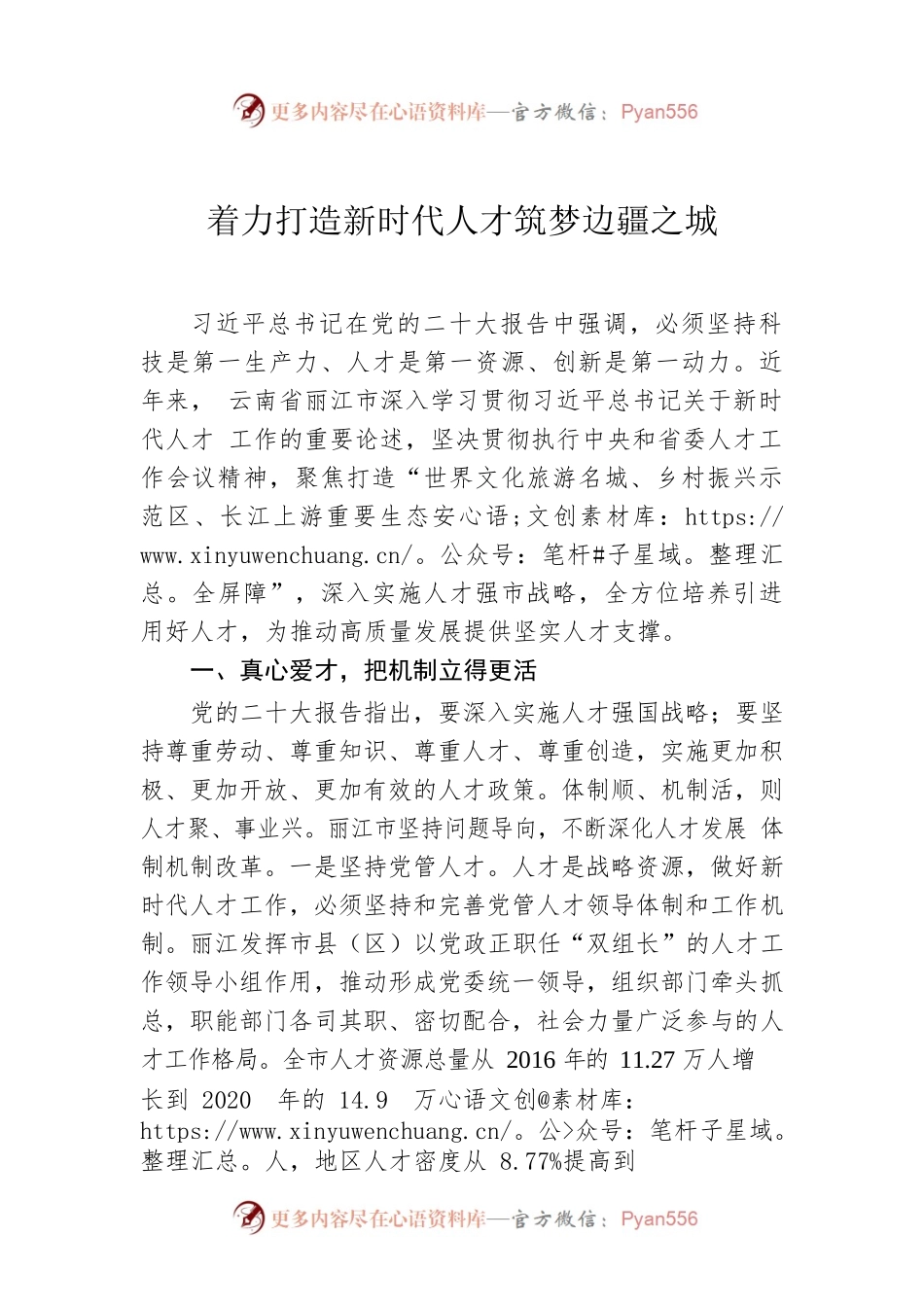 着力打造新时代人才筑梦边疆之城.docx_第1页