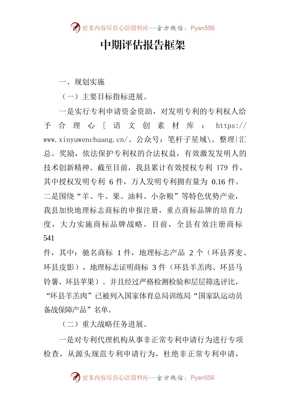 知识产权    中期评估报告框架4.25.docx_第1页