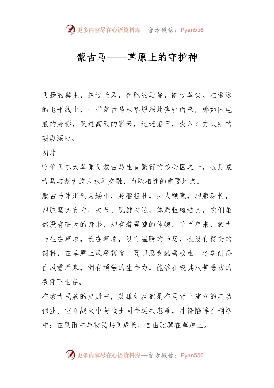 蒙古马——草原上的守护神.docx_第1页