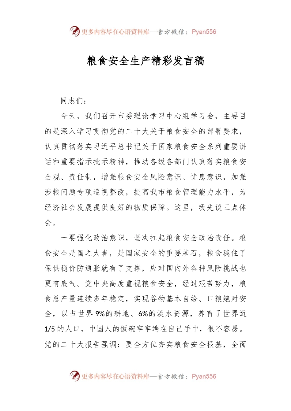 粮食安全生产精彩发言稿.docx_第1页