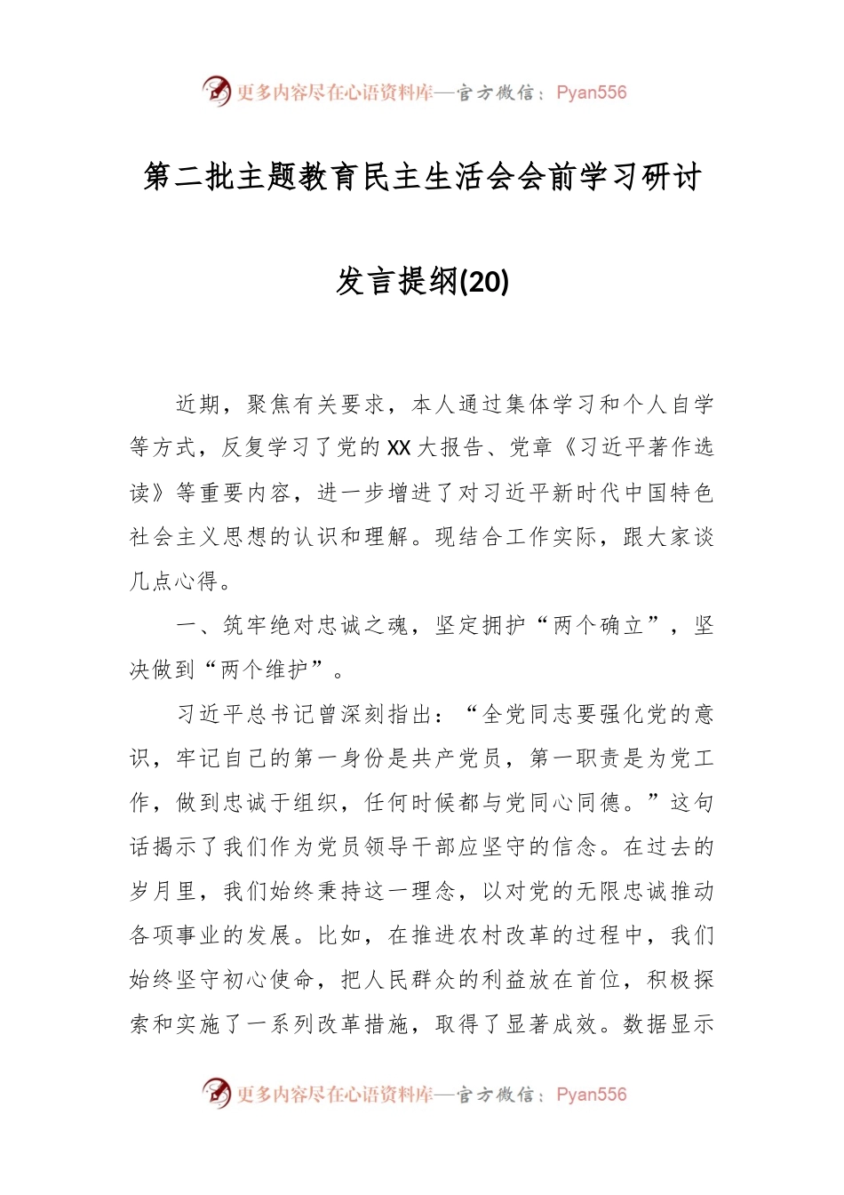 第二批主题教育民主生活会会前学习研讨发言提纲 (20).docx_第1页