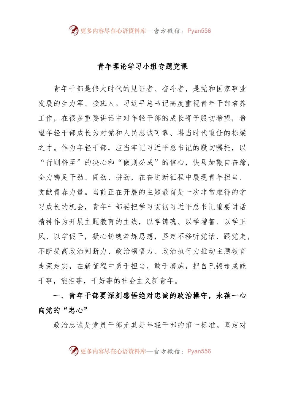 青年理论学习小组专题党课.docx_第1页