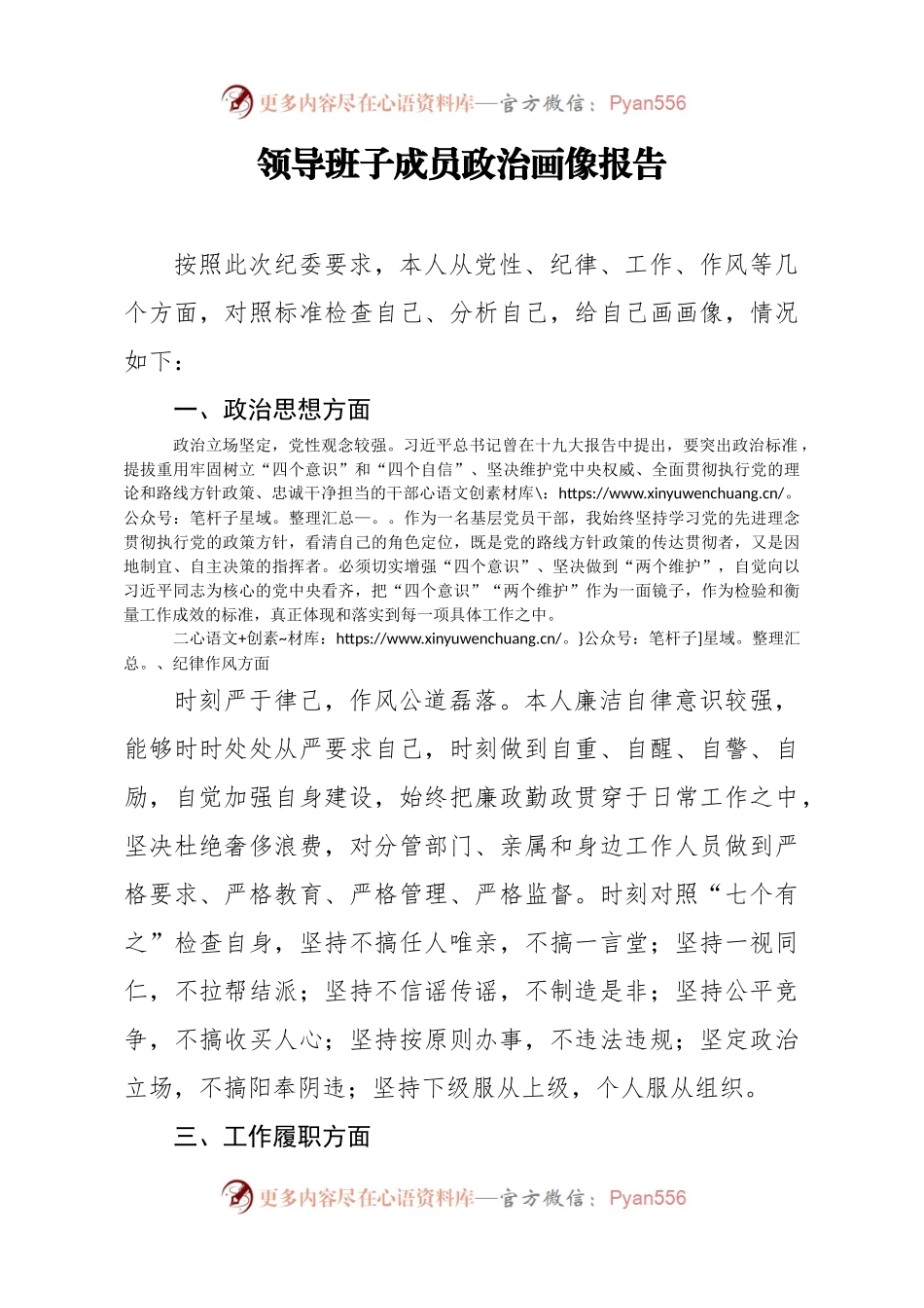 领导班子成员政治画像报告.docx_第1页