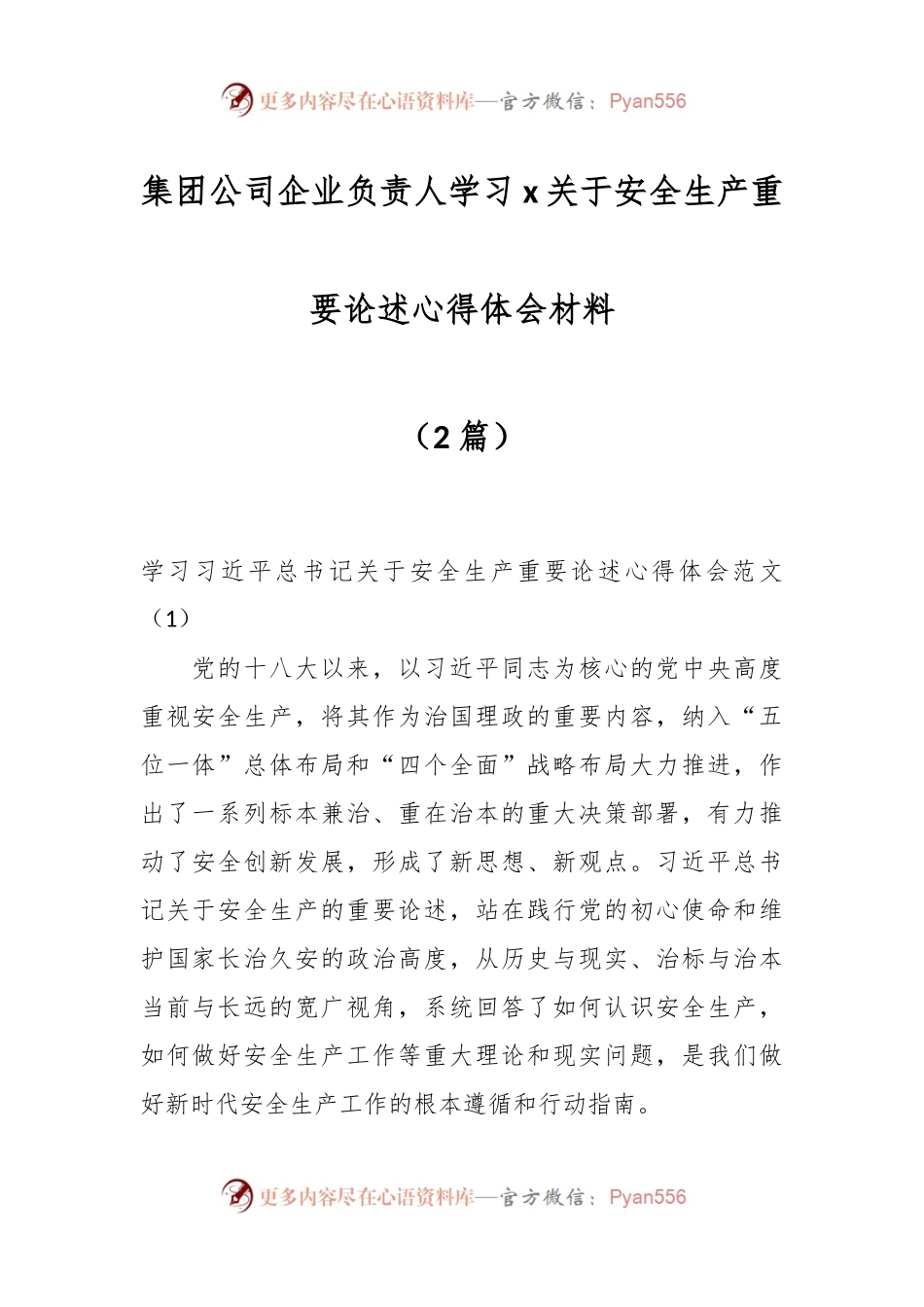 （2篇）XX集团公司企业负责人学习x关于安全生产重要论述心得体会材料.docx_第1页