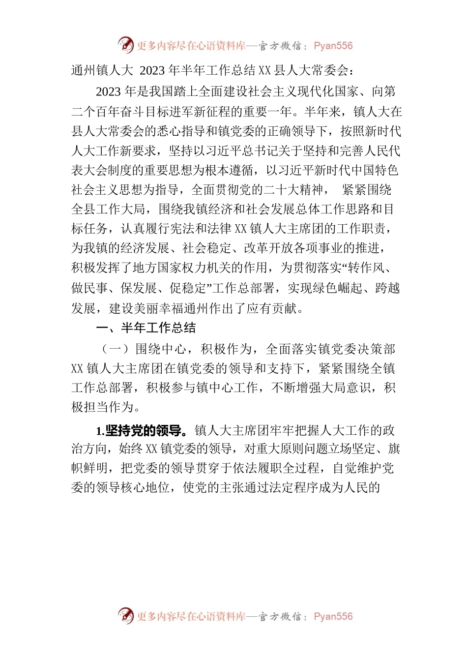 （2023.06.05）镇人大2023年上半年工作总结.docx_第1页