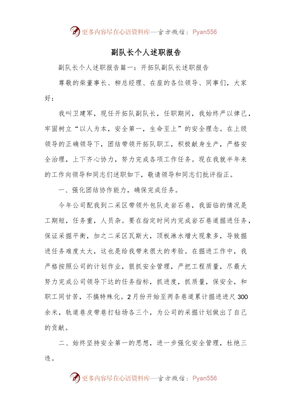 （3篇）副队长个人述职报告.docx_第1页