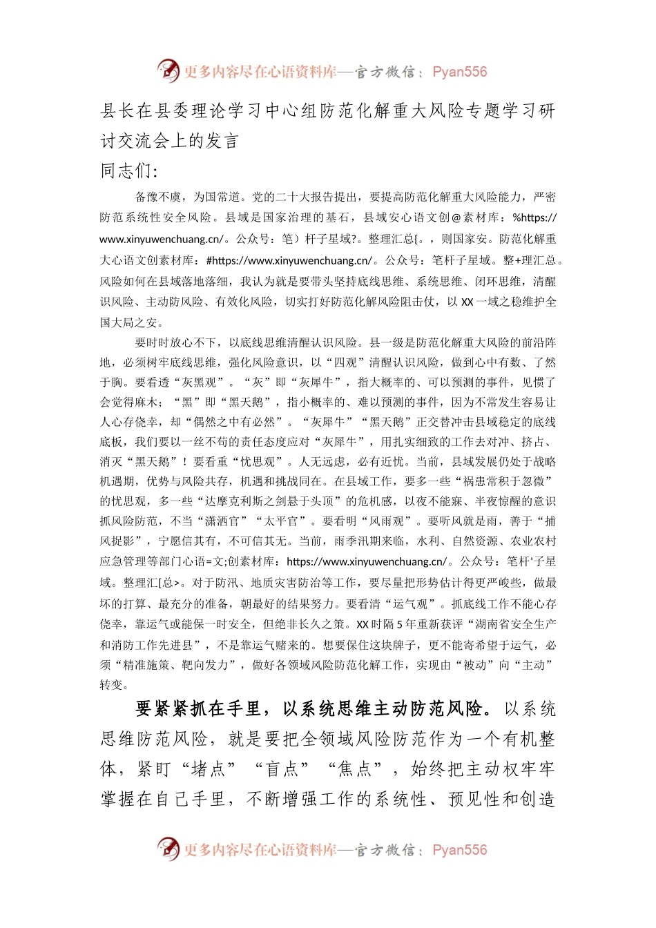 防范化解重大风险专题学习研讨交流会上的发言.docx_第1页