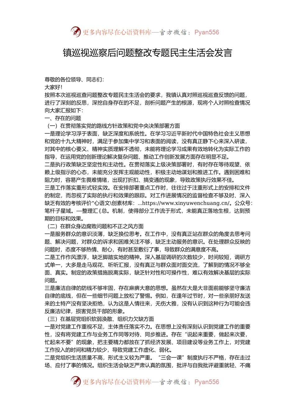 镇巡视巡察后问题整改专题民主生活会发言.docx_第1页