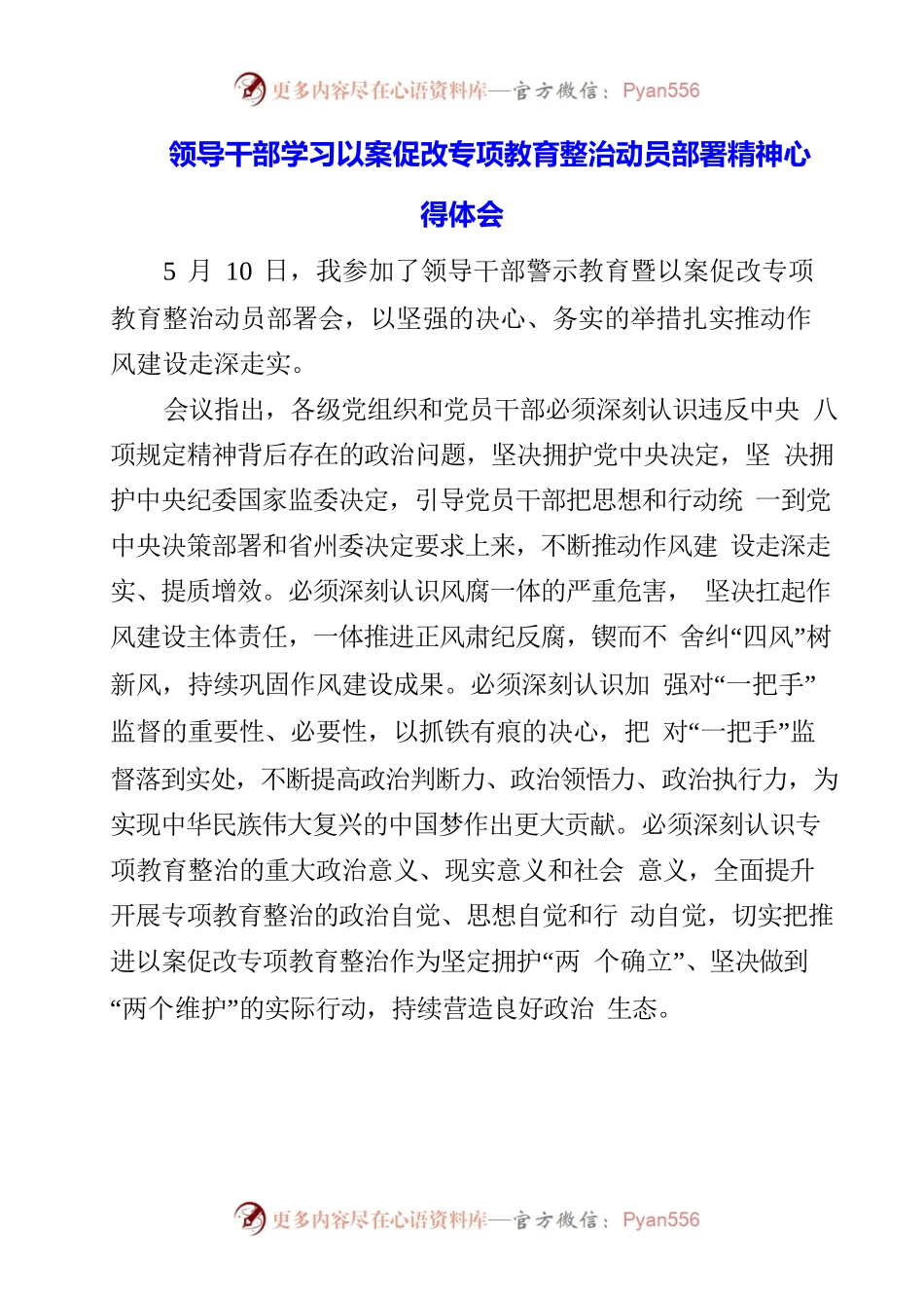 领导干部学习以案促改专项教育整治动员部署精神心得体会.docx_第1页