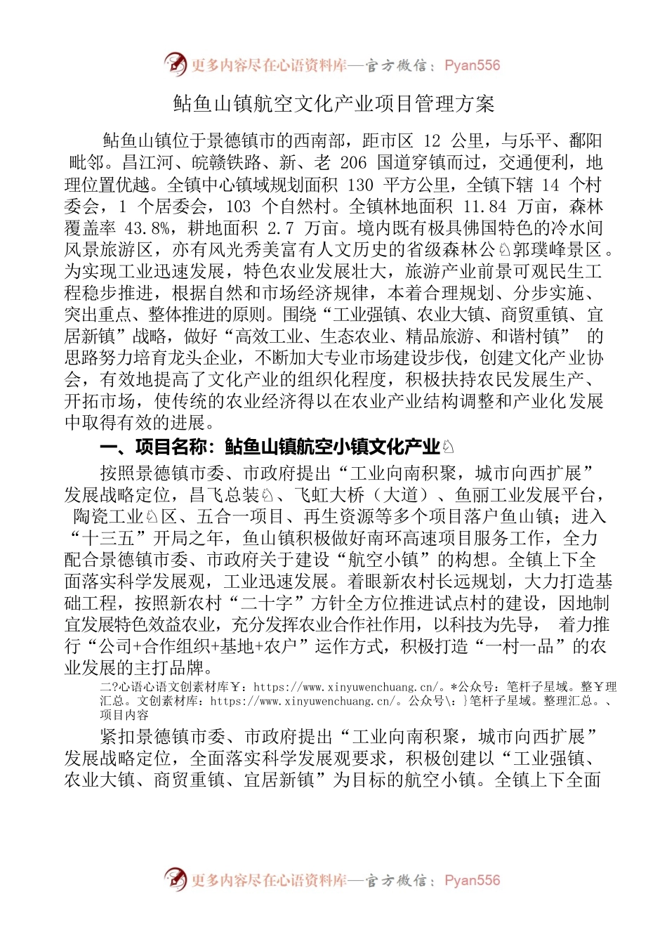 鲇鱼山镇航空文化产业项目管理方案.docx_第1页