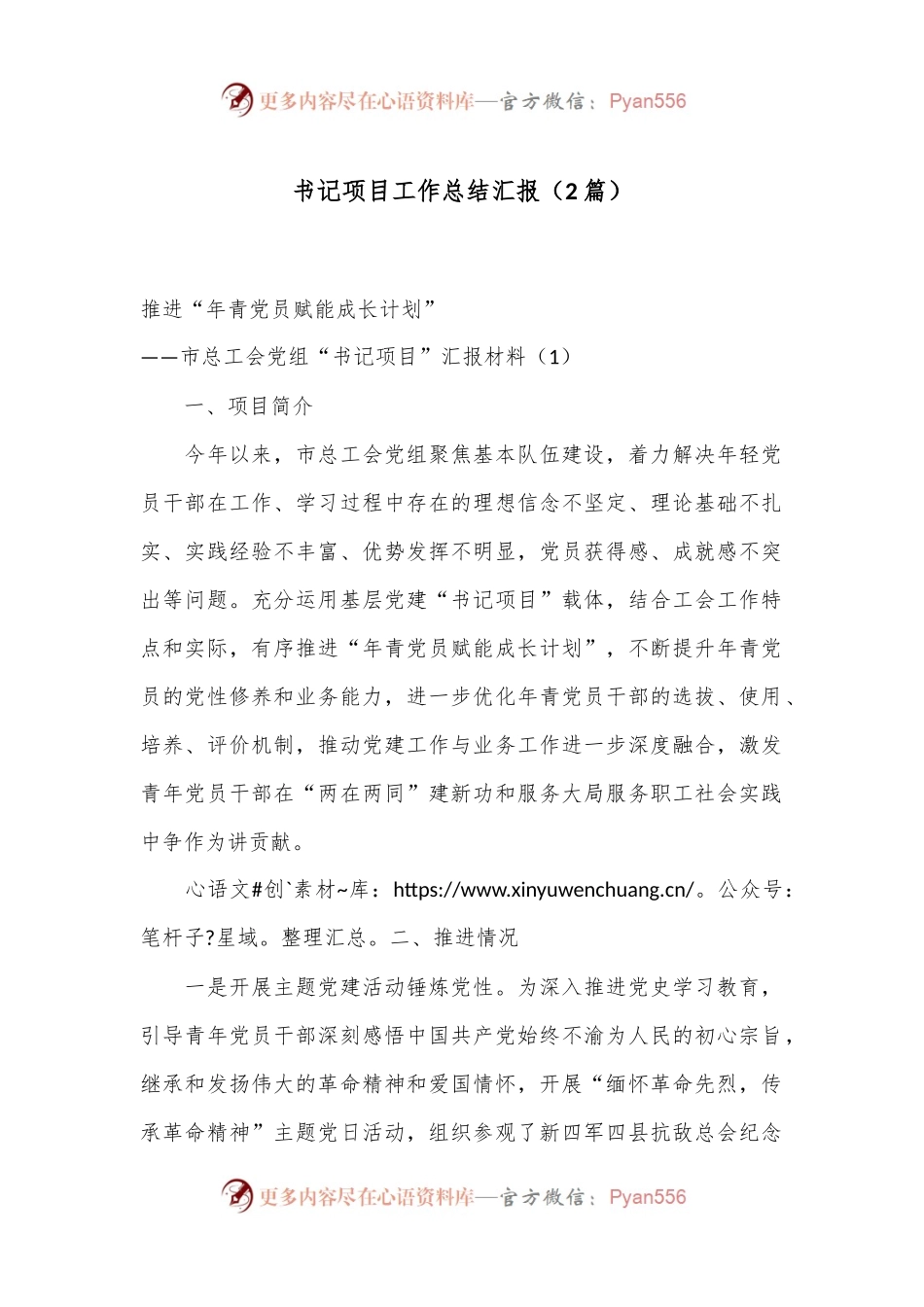（2篇）书记项目工作总结汇报.docx_第1页